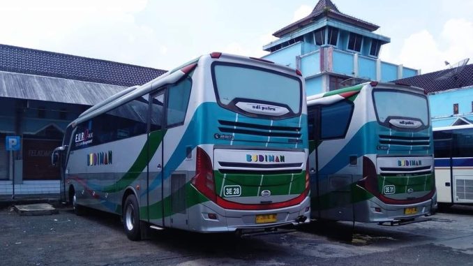 Bus Budiman