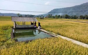 Mata Air Cigempol di Sumedang Tetap Mengalir Meski Dilanda Kemarau Panjang