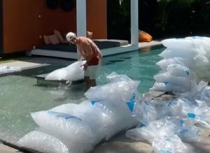 Cuaca Panas, Bule di Bali Beli Berkarung Karung Es Batu untuk Berendam di Kolam Renang