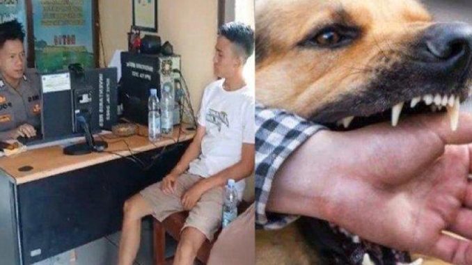 Petugas Puskesmas Suruh Pasien Gigit Balik Anjing yang Mengigitnya