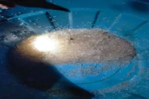 Viral Hujan Jelly di Gorontalo, Ini Penjelasan BMKG!