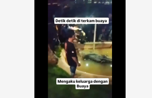 Viral Kakek di Makassar Ngaku Cucu Buaya, Tangannya Diterkam Hampir Putus