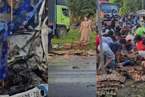 Viral Mobil Angkut Telur Kecelakaan, Warga Ramai-ramai Ambil Telur di Jalanan