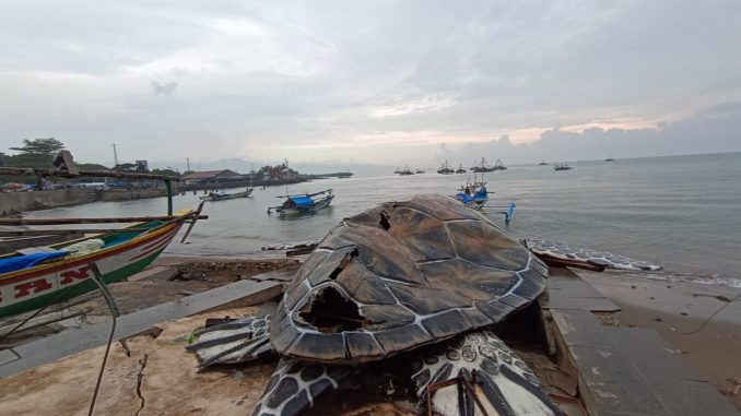 Patung Penyu di Sukabumi,