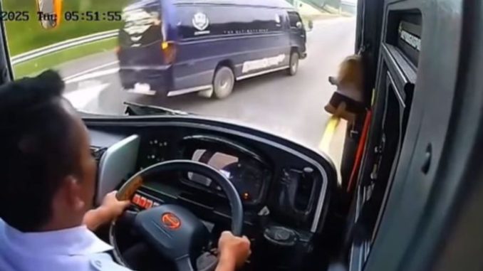Kecelakaan Bus dan Elf Hingga Terguling di Tol Cipali
