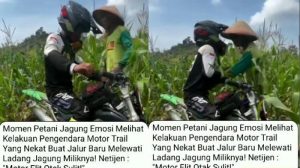 Viral Petani Jagung di Brebes Emosi Ladangnya Diterobos Motor Trail