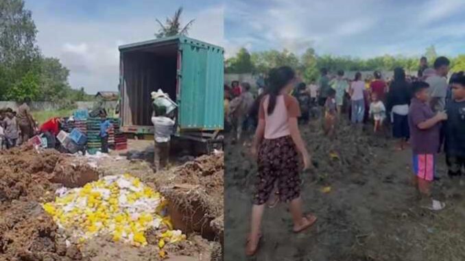 Warga Asahan Gali Mangga Ilegal