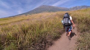 Mulai 1 Agustus 2025 Jalur Pendakian Gunung Rinjani Ditutup Sementara