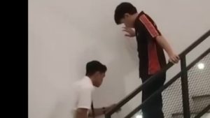 Viral Aksi Penyiksaan Terhadap Kucing di PIK 2, Komunitas Pecinta Kucing Lapor Polisi
