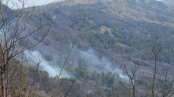 Karhutla Bromo Meluas ke Jemplang, Wisata Ditutup