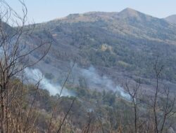 Karhutla Bromo Meluas ke Jemplang, Wisata Ditutup